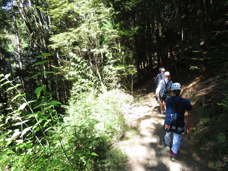 Flying through the air with Ziptrek at the top of Bob's Peak, at Queenstown, New Zealand