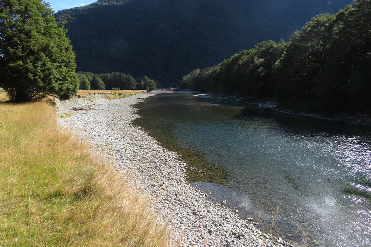 The river in front of Glade House, Milford Track, New Zealand