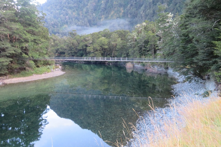 Swinging bridge over the Clinton River, Milford Track
