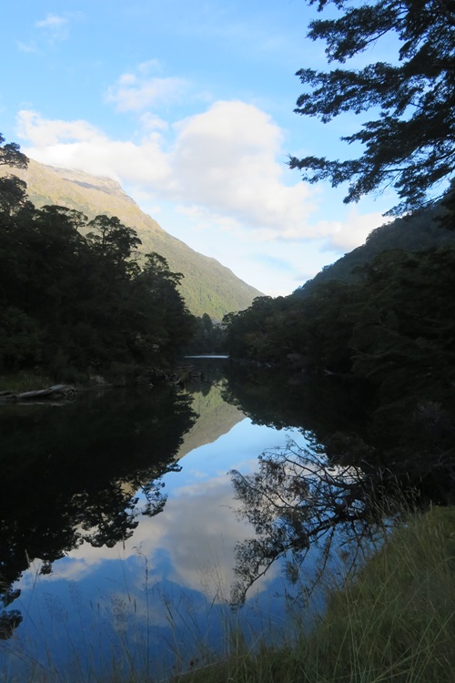 Swinging bridge over the Clinton River, Milford Track