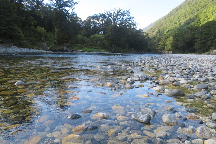 Clinton River on Milford Track New Zealand