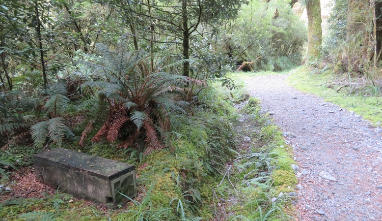 Milford Track New Zealand