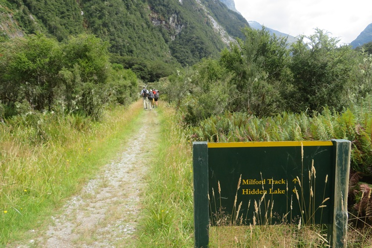 Milford Track New Zealand