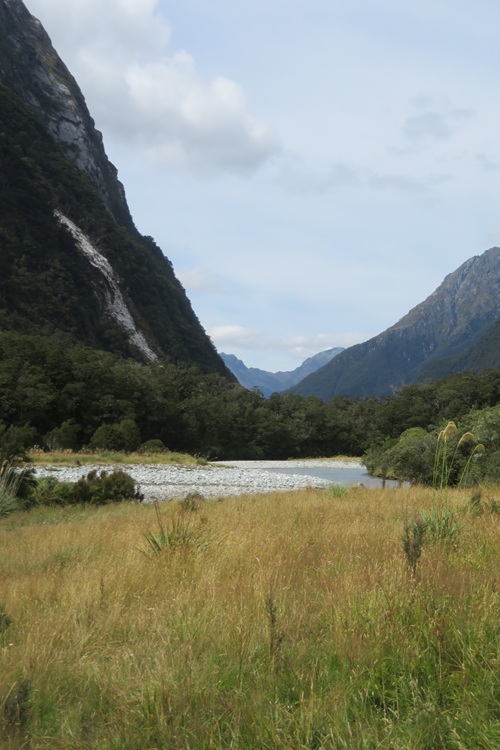 Valley views on the Milford Track New Zealand