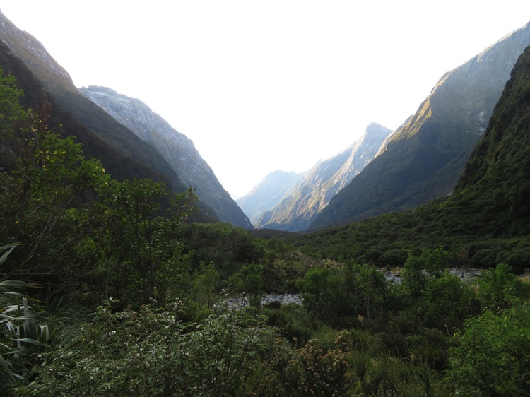 Views of the valley on the Milford Track