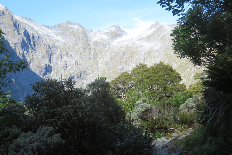 Starting the climb up to McKinnon Pass, Milford Track New Zealand
