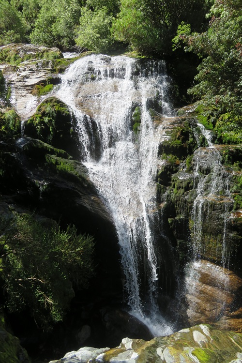 Walking next to the river, Milford Track New Zealand
