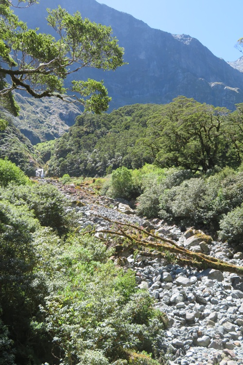 Walking next to the river, Milford Track New Zealand