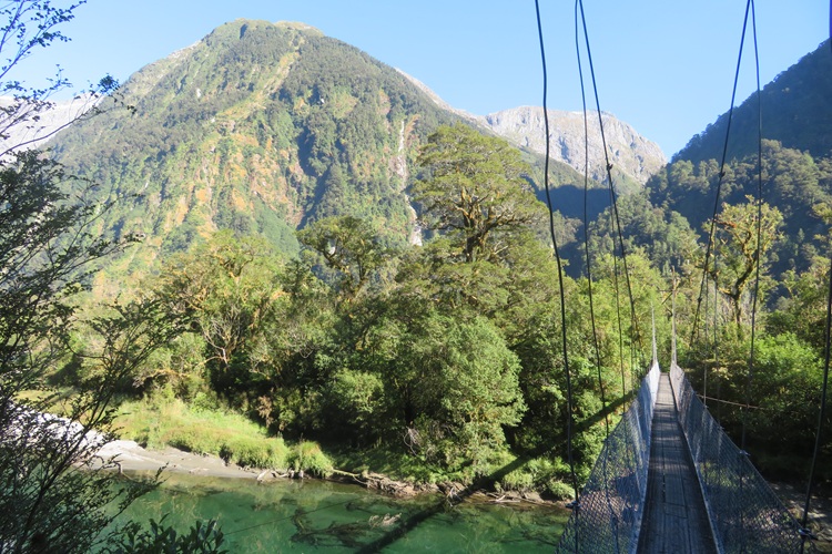 Views on the Milford Track - a swinging bridge over the Arthur River, New  Zealand