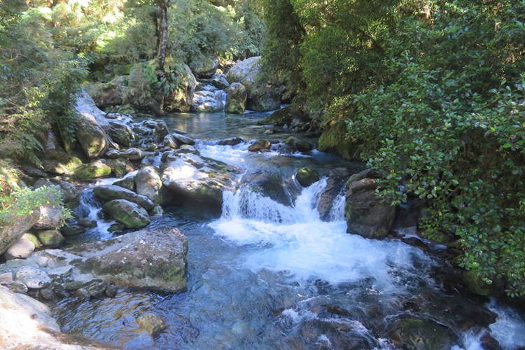 Views on the Milford Track - a babbling brook, New  Zealand
