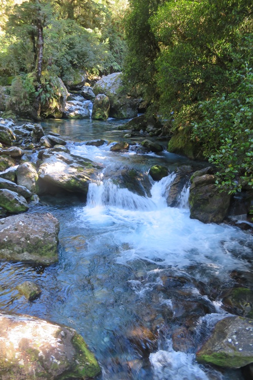 Views on the Milford Track - a babbling brook, New  Zealand