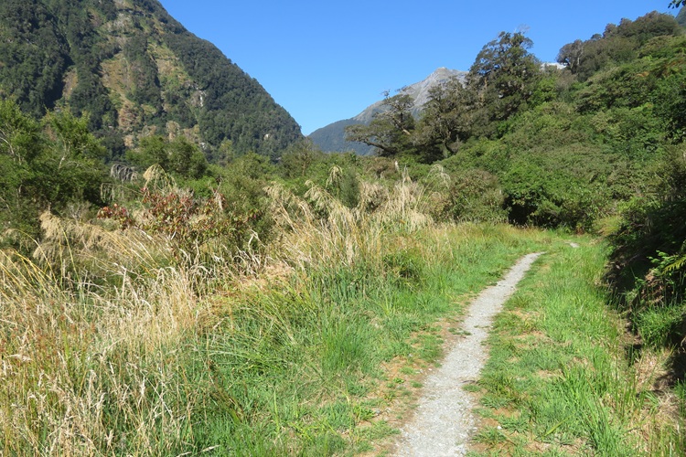 Trail views on the Milford Track, New  Zealand