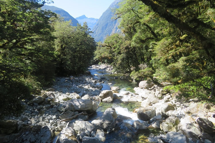River views on the Milford Track, New  Zealand