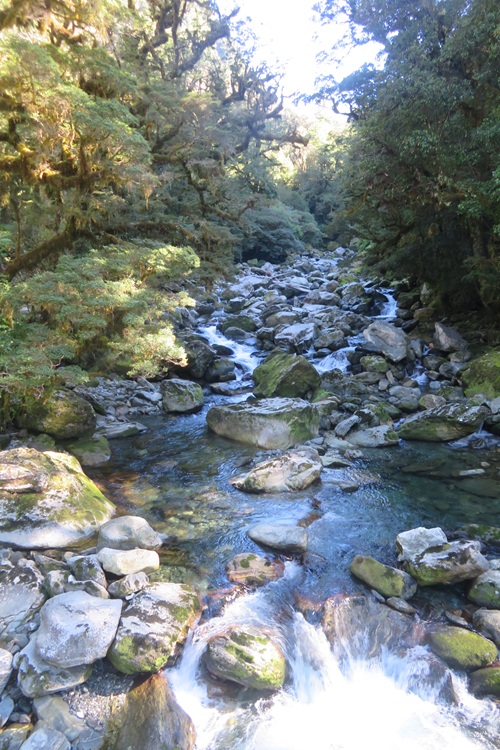 River views on the Milford Track, New  Zealand