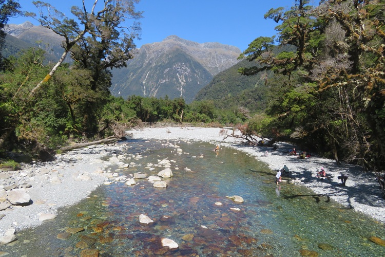 The river at Giants Gate Falls on the Milford Track, New  Zealand