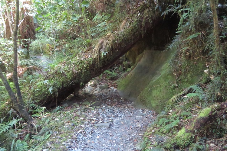 The Milford Track, New  Zealand