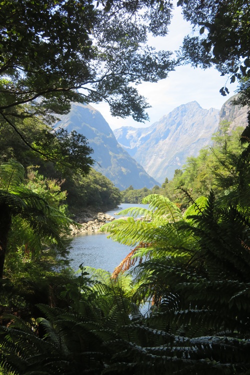 The Milford Track, New  Zealand