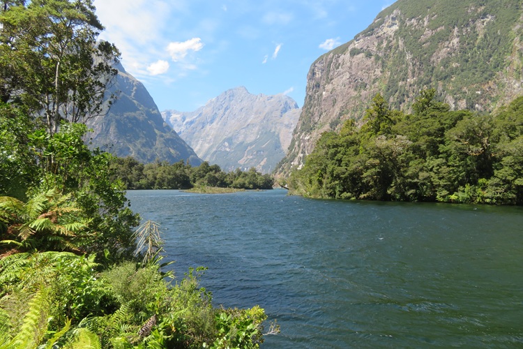 The Milford Track, New  Zealand. 