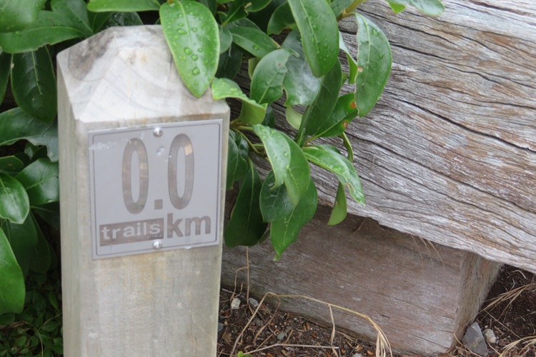 The very start of the Kepler Track, Te Anau New Zealand