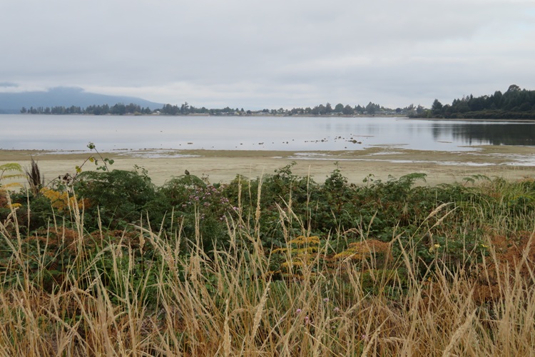 The very start of the Kepler Track, Te Anau New Zealand