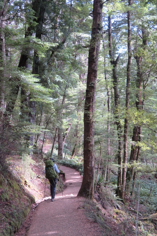 The Kepler Track, Te Anau New Zealand