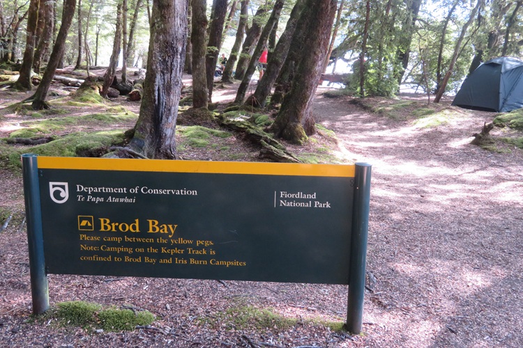 The Kepler Track, Te Anau New Zealand