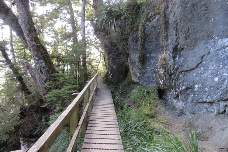 The Kepler Track, Te Anau New Zealand