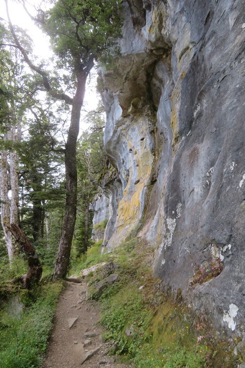 The Kepler Track, Te Anau New Zealand