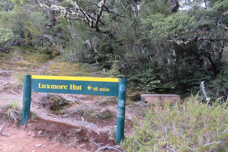 The Kepler Track, Te Anau New Zealand