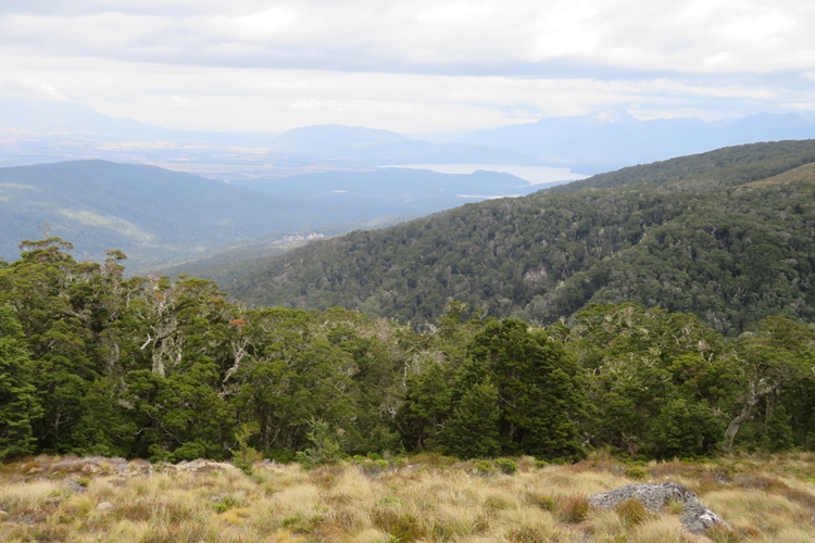 The Kepler Track, Te Anau New Zealand