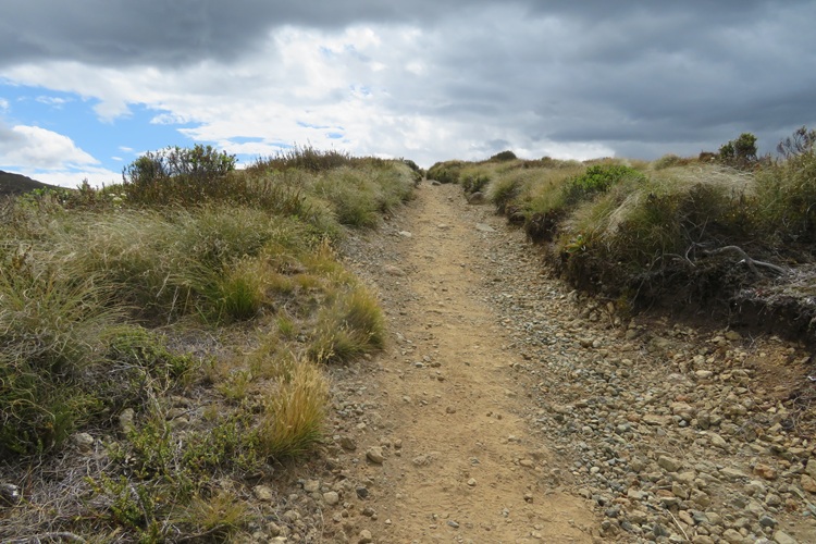 The Kepler Track, Te Anau New Zealand