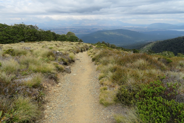 The Kepler Track, Te Anau New Zealand