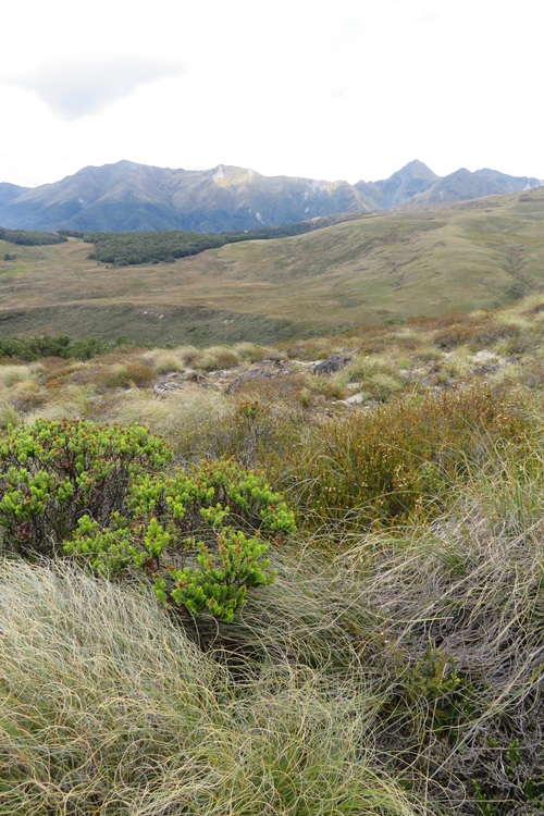 The Kepler Track, Te Anau New Zealand