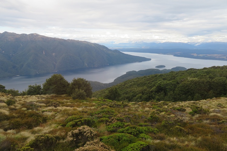 The Kepler Track, Te Anau New Zealand