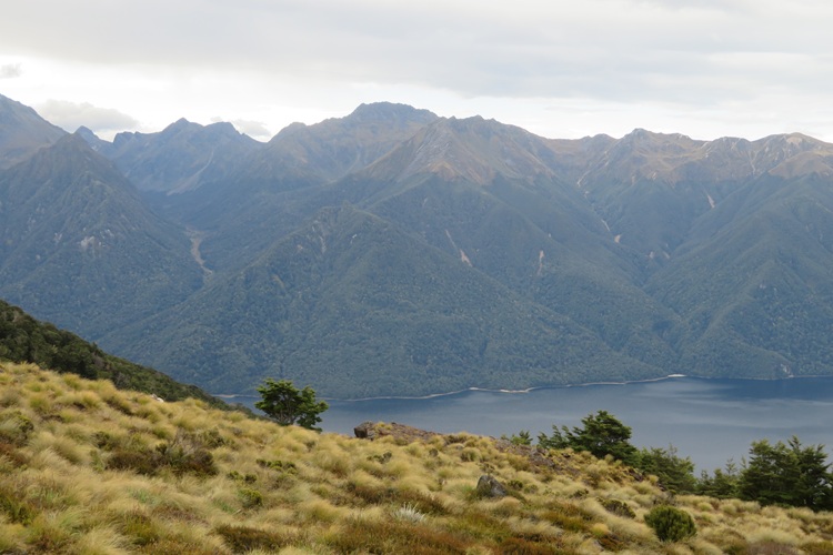 The Kepler Track, Te Anau New Zealand