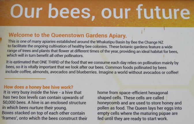 Queenstown Gardens, Queenstown  New Zealand