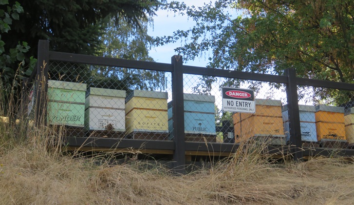 Queenstown Gardens, Queenstown  New Zealand