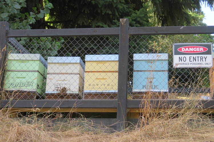 Queenstown Gardens, Queenstown  New Zealand