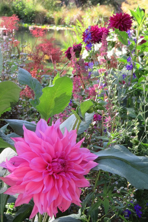 Queenstown Gardens, Queenstown  New Zealand