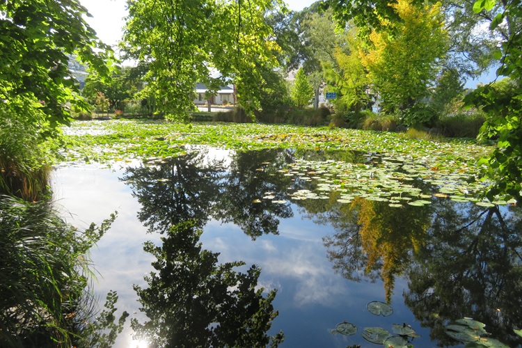 Queenstown Gardens, Queenstown  New Zealand