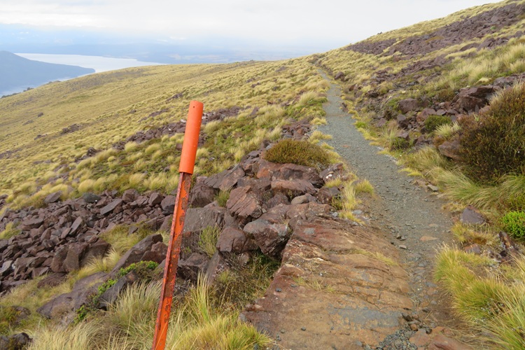 the Kepler Track New Zealand