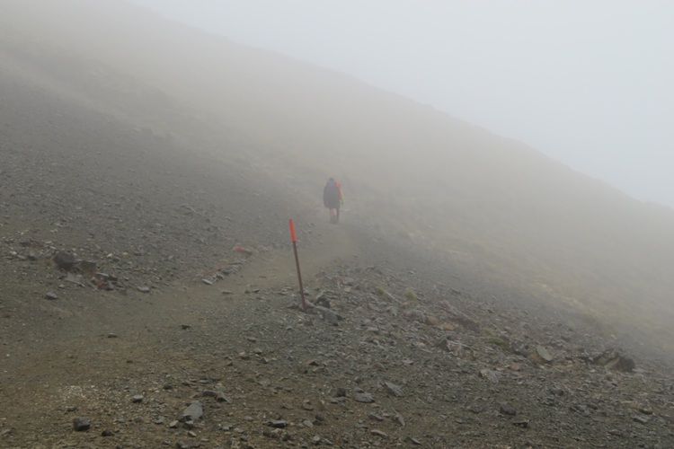 the Kepler Track New Zealand