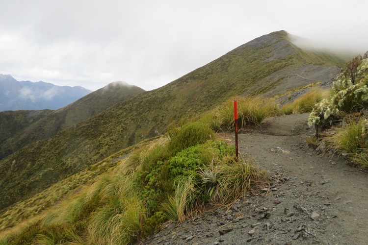 the Kepler Track New Zealand