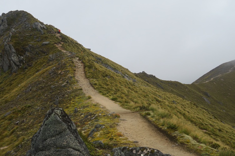 the Kepler Track New Zealand