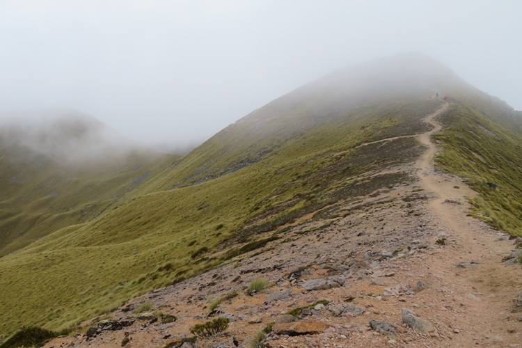 the Kepler Track New Zealand