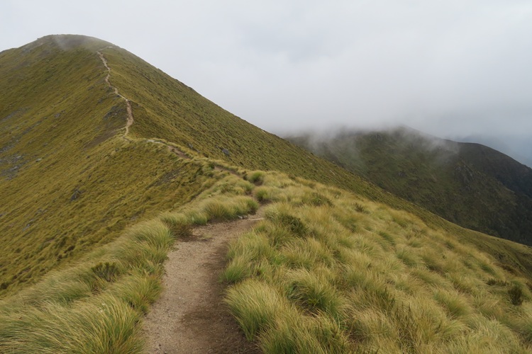 the Kepler Track New Zealand