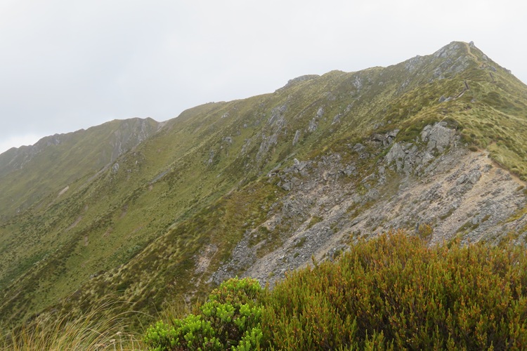 the Kepler Track New Zealand