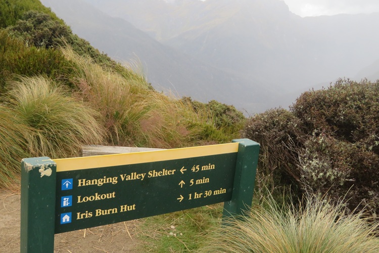 the Kepler Track New Zealand