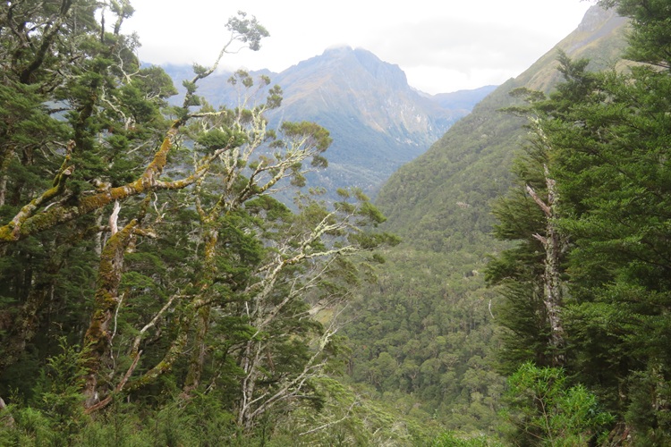 the Kepler Track New Zealand