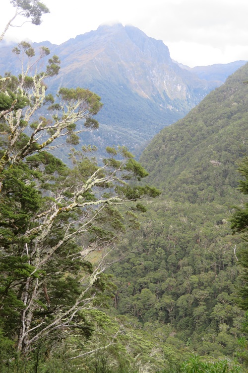 the Kepler Track New Zealand